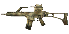 G36K CAMO